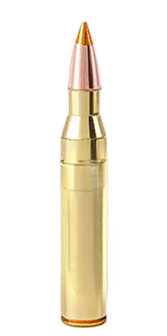 5.56 × 45